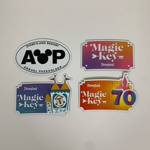 Disneyland Magic Key Magnet Set of 4 Disney Collectible